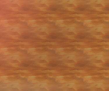 img337.jpg